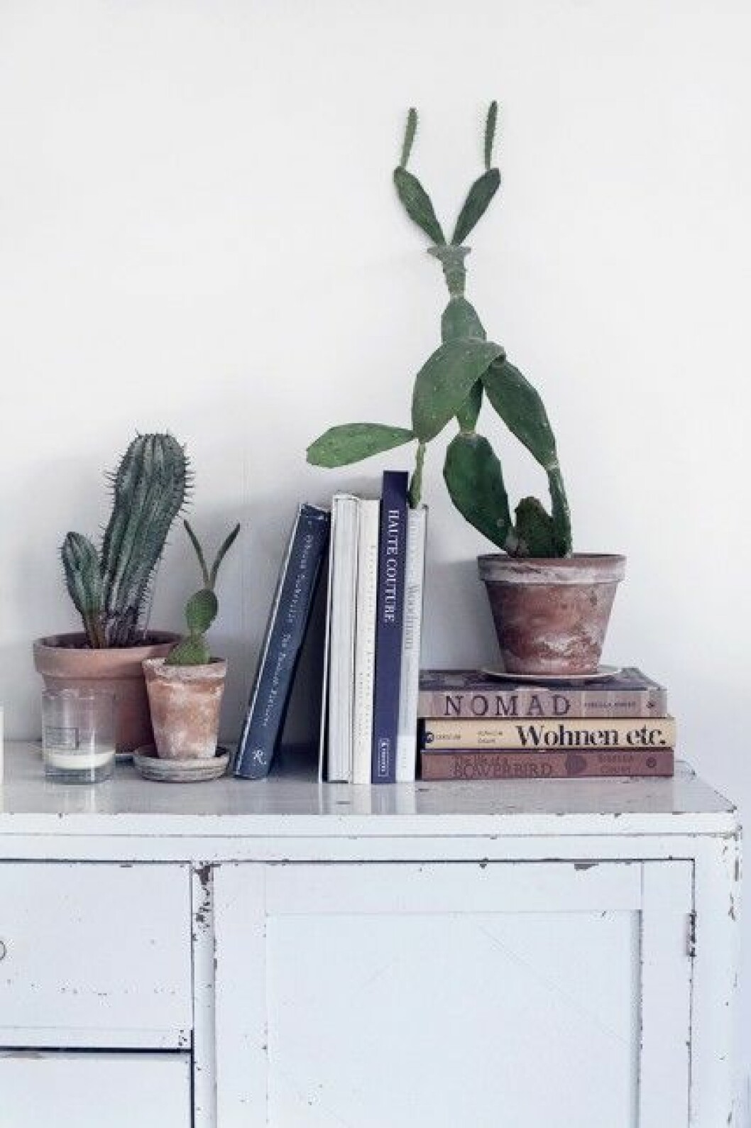Foto: Anna Malmberg Syns i: ”<a href="https://www.elle.se/decoration/sa-skapar-du-anna-malmbergs-paris-bohemiska-stil/" target="_blank" rel="noopener">Så skapar du Anna Malmbergs Paris-bohemiska stil</a>” Kaktus tål mörker.
