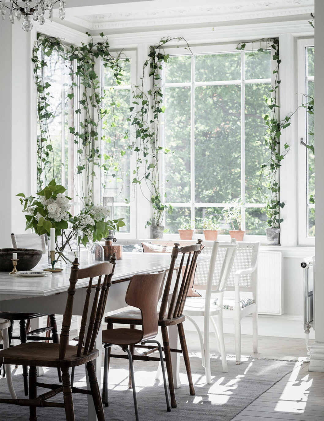 Instagram-vänligt och ombonat med gröna gardiner. Foto: Anders Bergstedt Styling: Nouvel Interiör för Entrance mäkleri/mäklare: Jessica Fridstedt Gröna gardiner med klätterväxter i fönstret