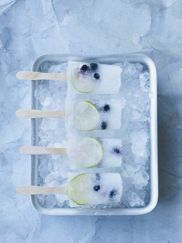 Så gör du gin och tonic på pinne