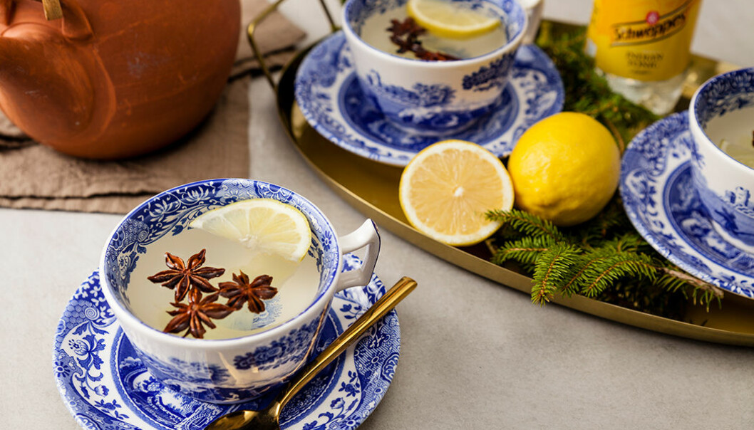 Blanda en varm Gin & Tonic – eller G-Te!