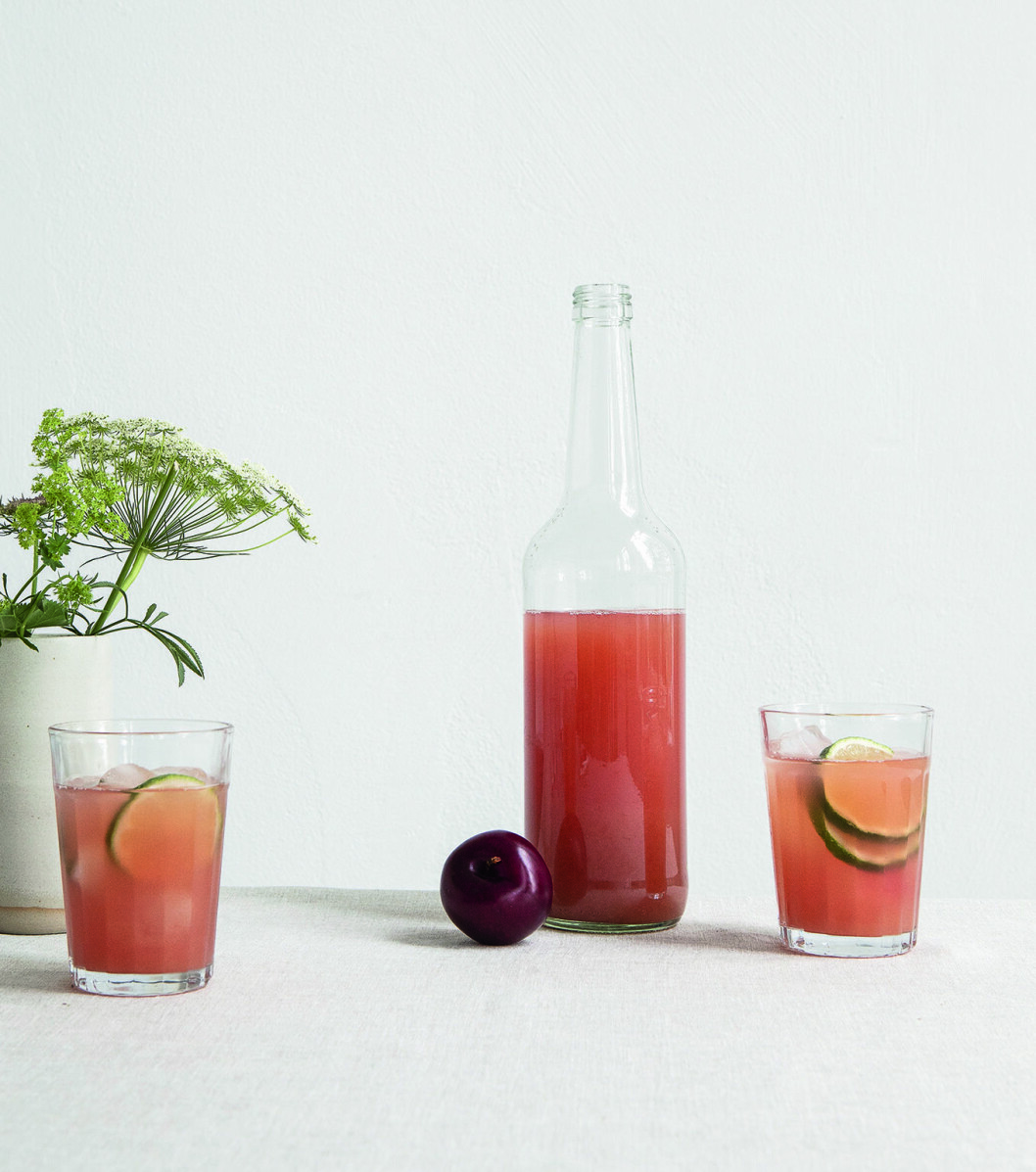 Smakrik fördrink med gin, tonic och plommonshrub. Recept gin&tonic plommonshrub