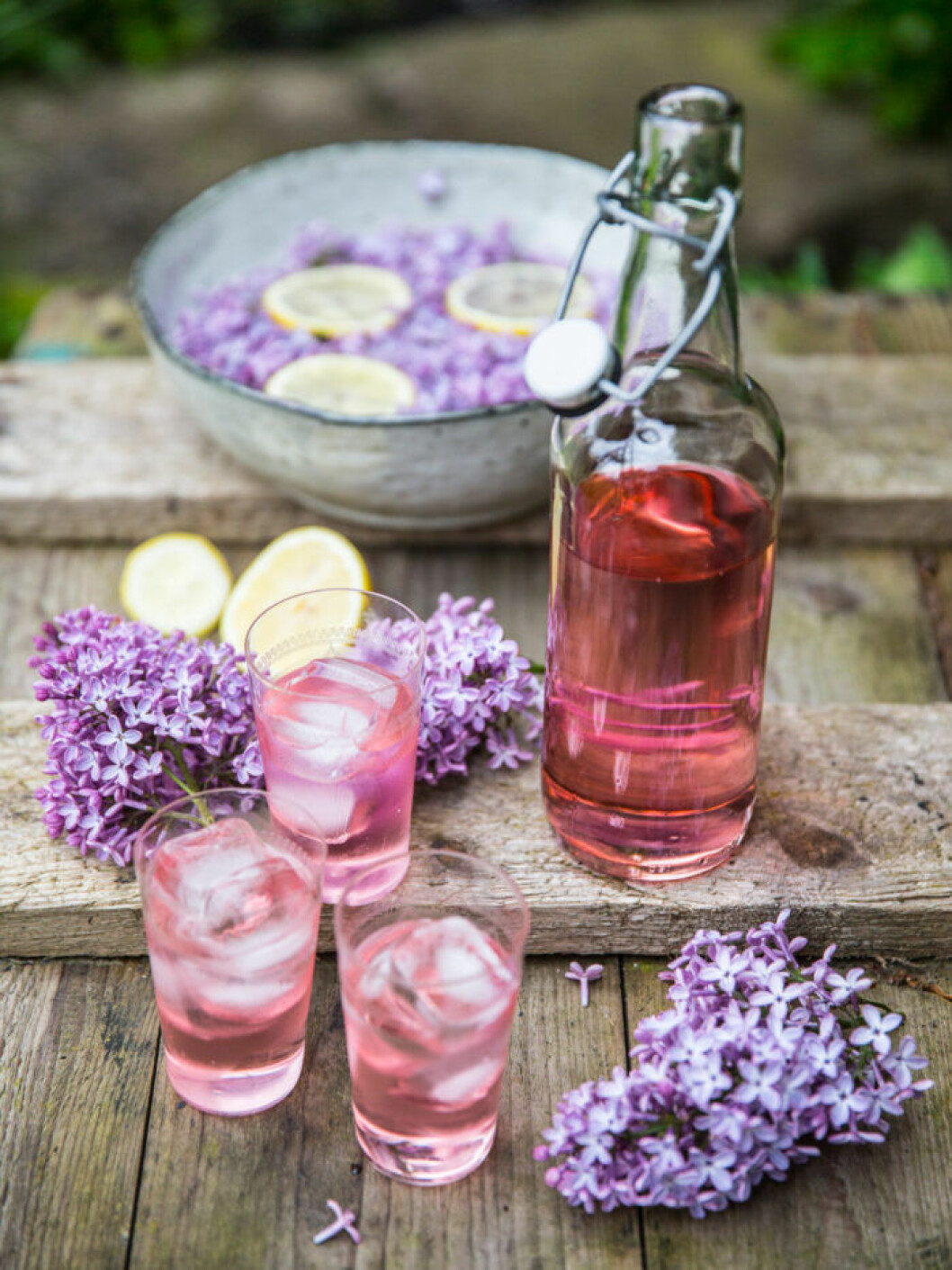 Recept på gin och tonic med syren