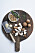Gnocchi med skogschampinjoner, rödlök och hasselnötter, steg 6