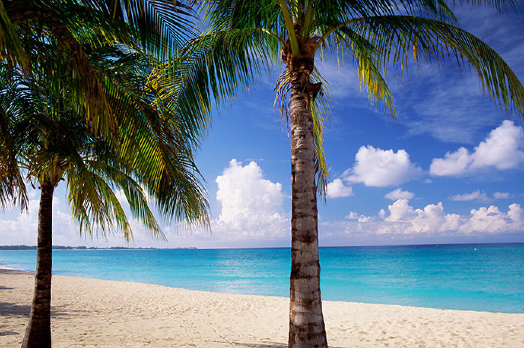 Seven Mile Beach, Caymanöarna. Seven Mile Beach, Caymanöarna.