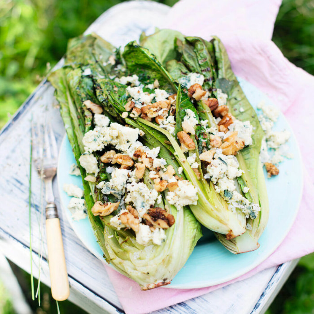 Grillad romansallad med ädelost. Recept på grillad romansallad