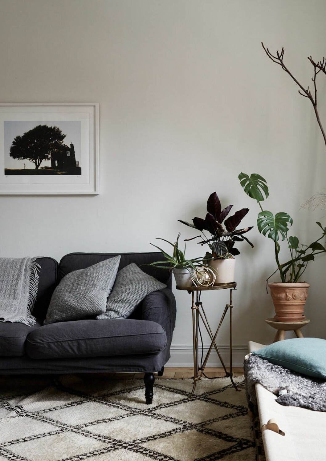 Foto: Fredric Boukari Styling: Rydman för Historiska hem/mäklare: Mattias Öhman Växter i grupp är ett trendigt inredningstips, trendspanat från Formex 2019.