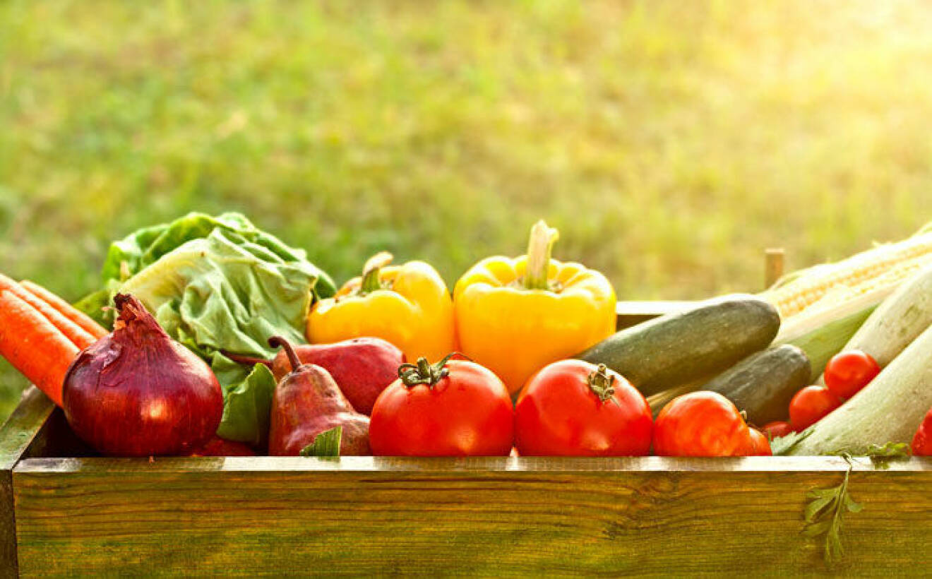 Frys in grönsaker som har blivit över för att slippa slänga bort dem. 