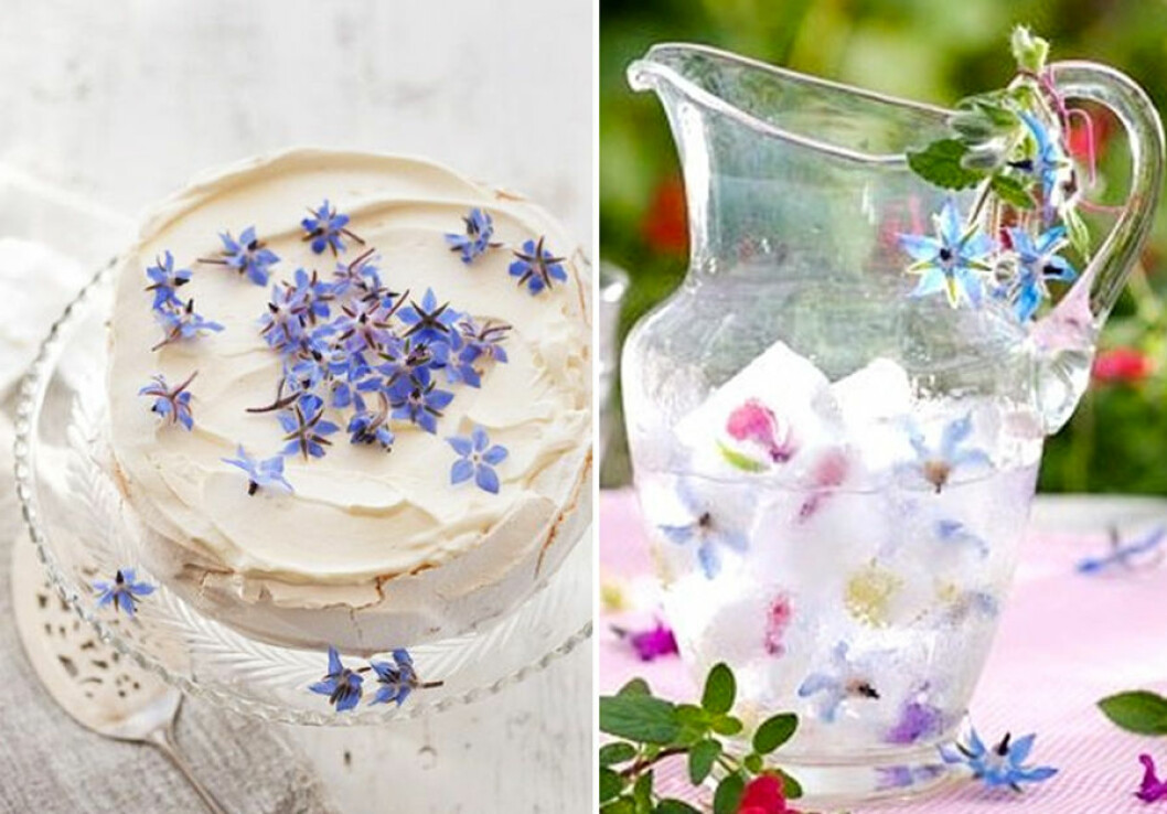 via: <a href="http://de.weddbook.com/media/2126281/lavender-wedding-inspiration">Weddbook</a> / <a href="http://www.jennywrenweddingsandevents.co.uk/blog/14038447">Jenny Wren</a> gurkort