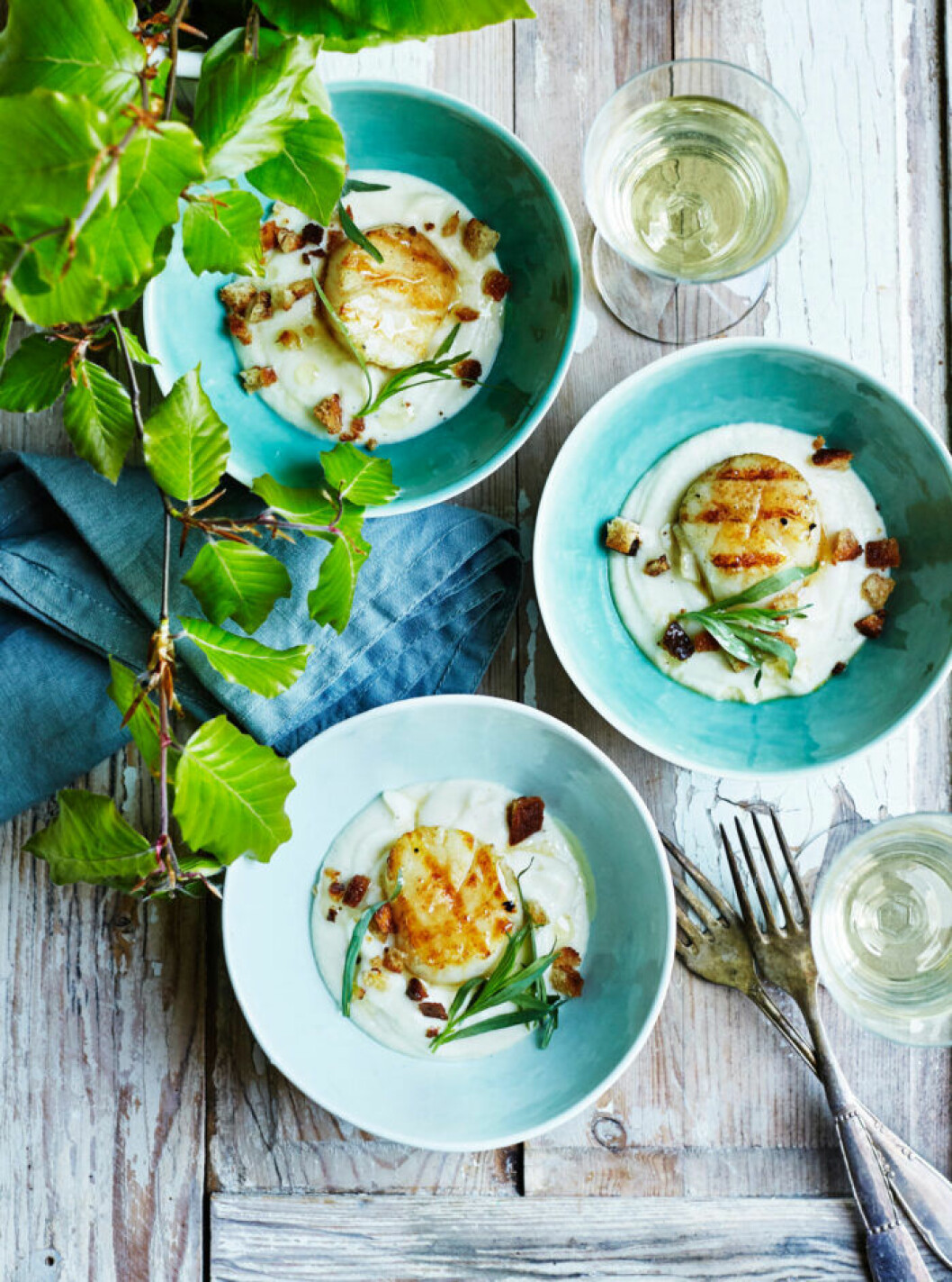 Halstrade kammusslor med blomkålspuré Recept på halstrade kammusslor med blomkålspuré