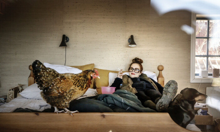 Under pandemin flyttade Hanna Hellquist hem till Grums, köpte en kåk och huserade runt i fleecekläder tillsammans med sina djur som fick härja fritt i huset. hanna i grums