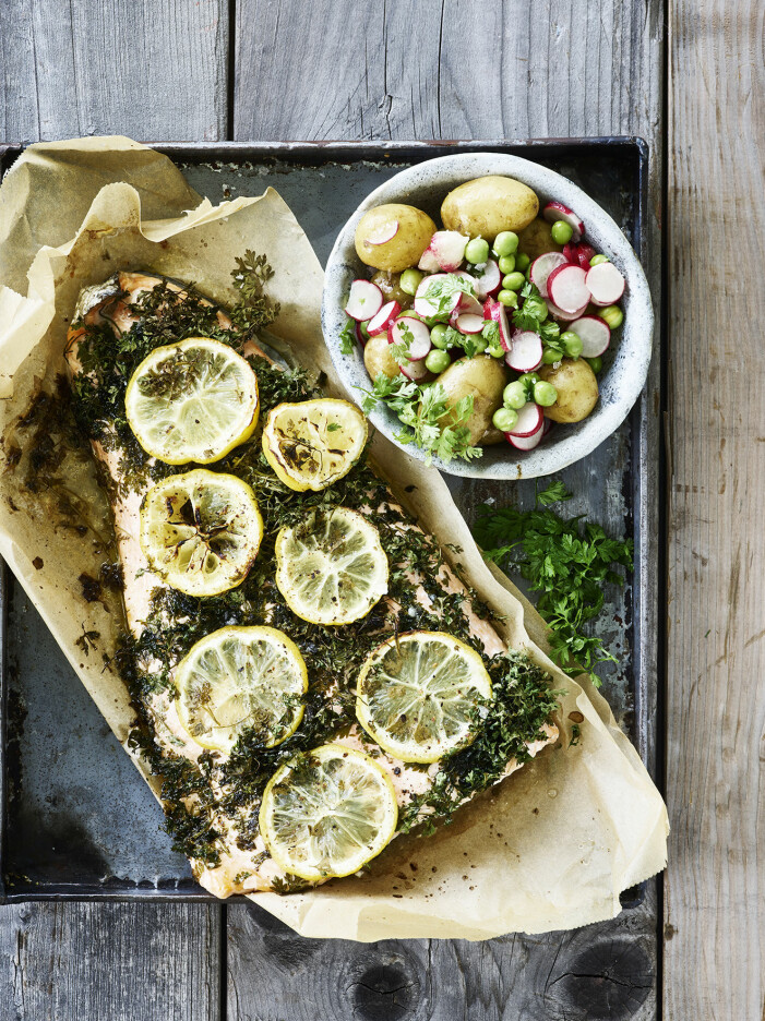 Laga helgrillad lax med körvel och citron
