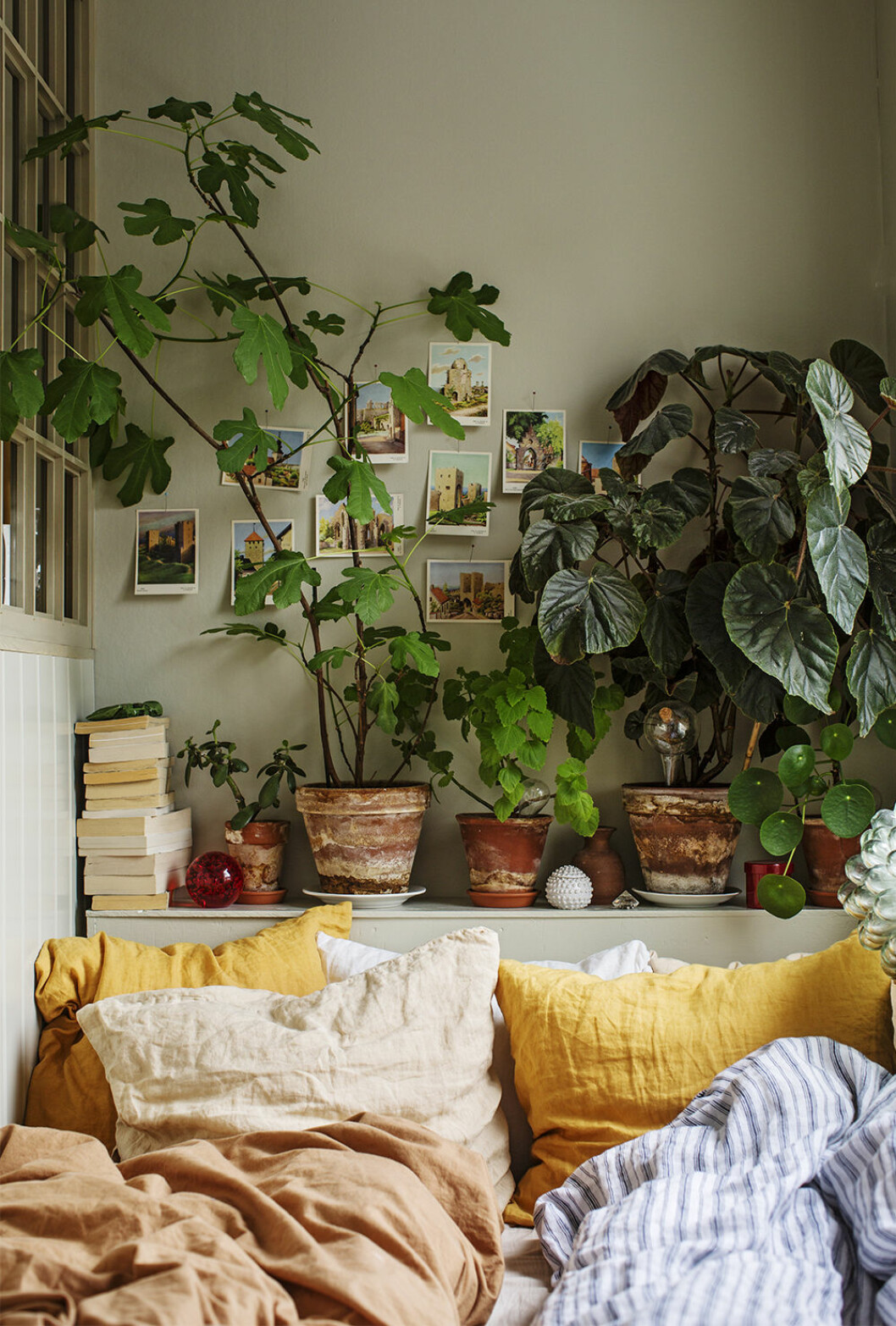 Gröna toner gör hemmet ombonat och tar in sommarens färgpalett året om. Väggen är målad med Alcro Pashmina i kulören <em>11 Duva</em> och sängen har klätts i gula toner. Foto: Lina Östling för Alcro Styling: Jill Windahl Mysig sovrum med växter och grön vägg