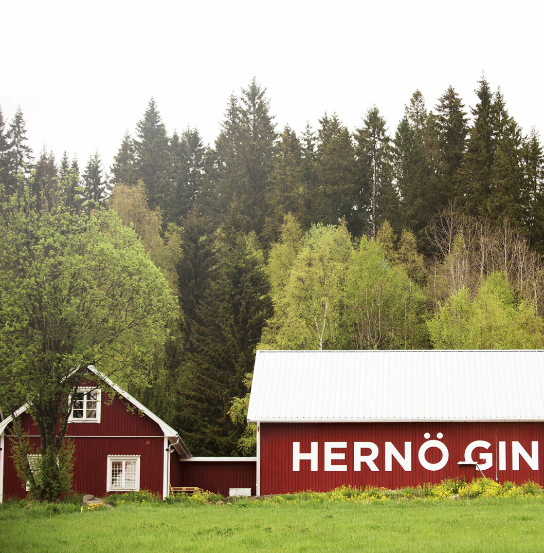 Hernö gin