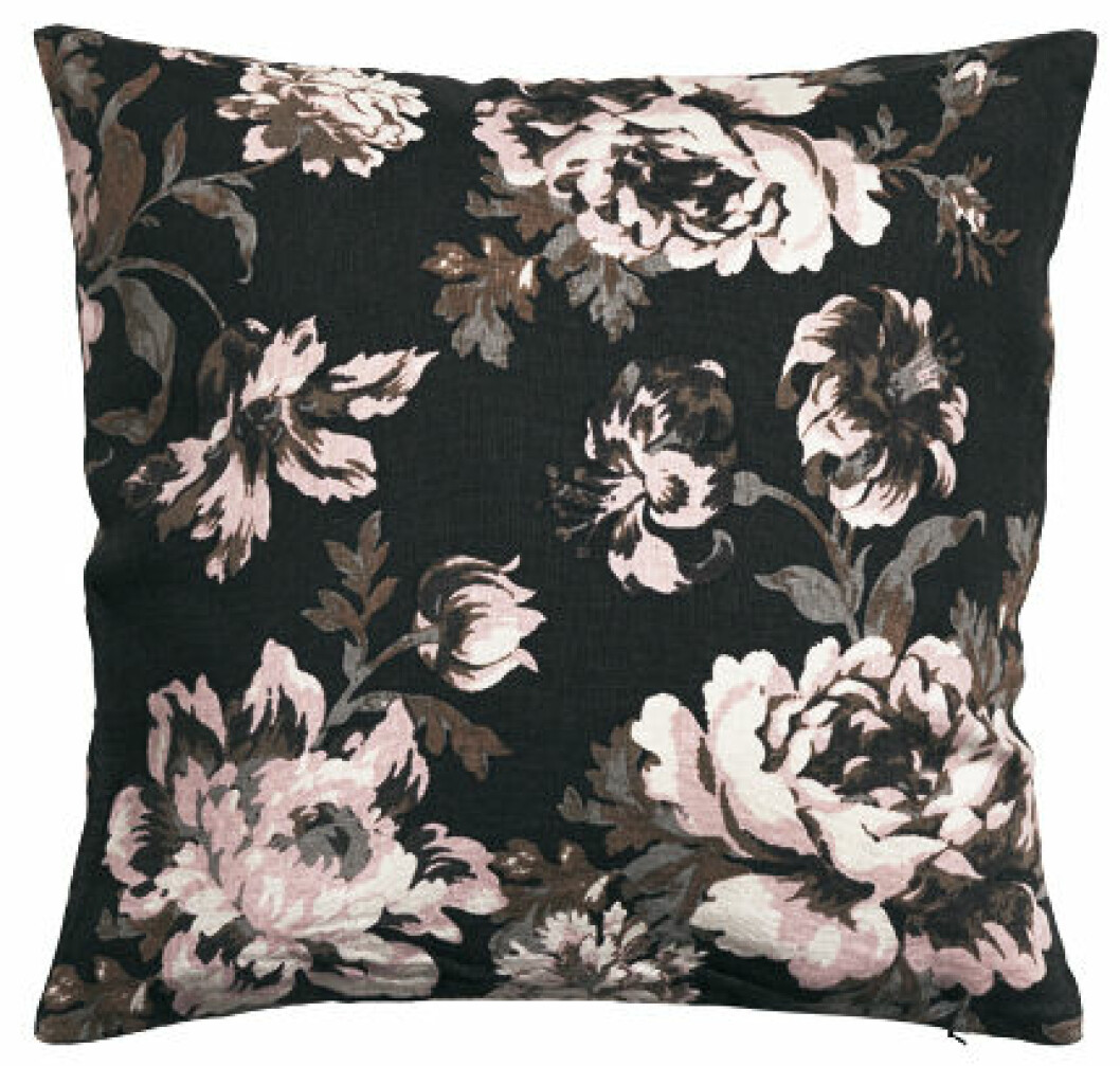 Cushion