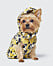 H&M och Moschino, hund i gul dräkt.