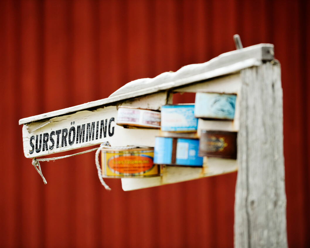 Foto: TT På Ulvön produceras surströmming