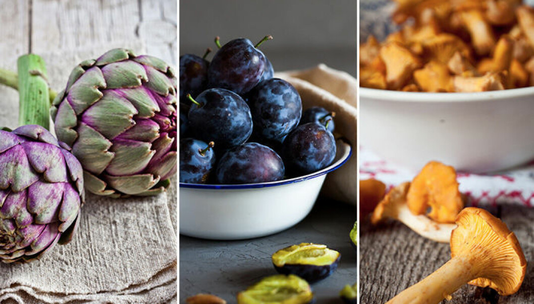 5 fantastiska livsmedel som boostar hälsan – och som är i säsong just nu