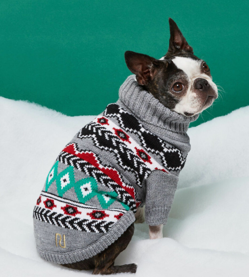 jultröja till hund