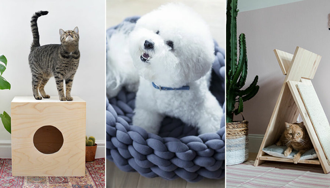 9 stilrena DIY-projekt för dig med husdjur