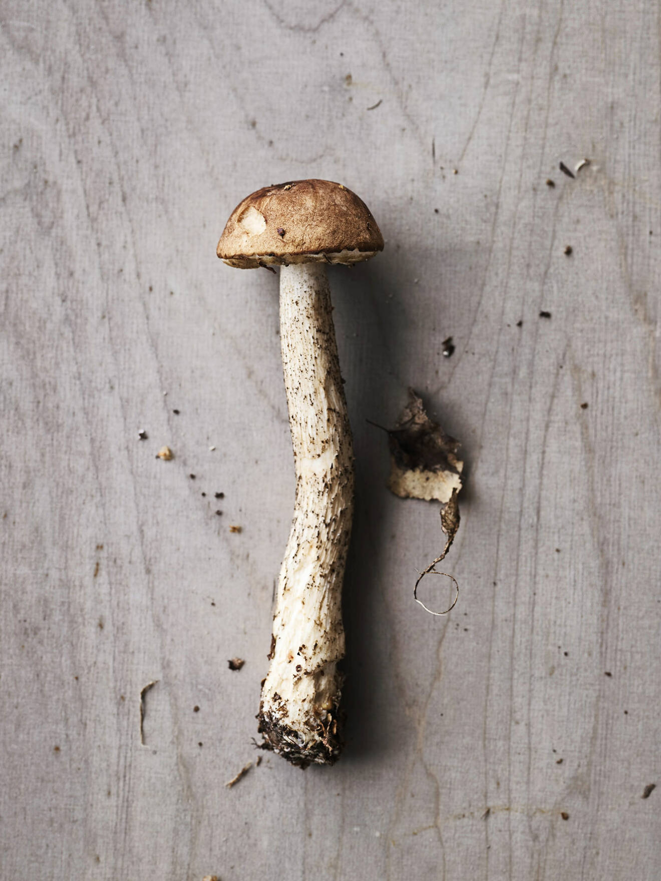 Att gå i skogen och leta svamp blir lite av terapi enligt Shalony