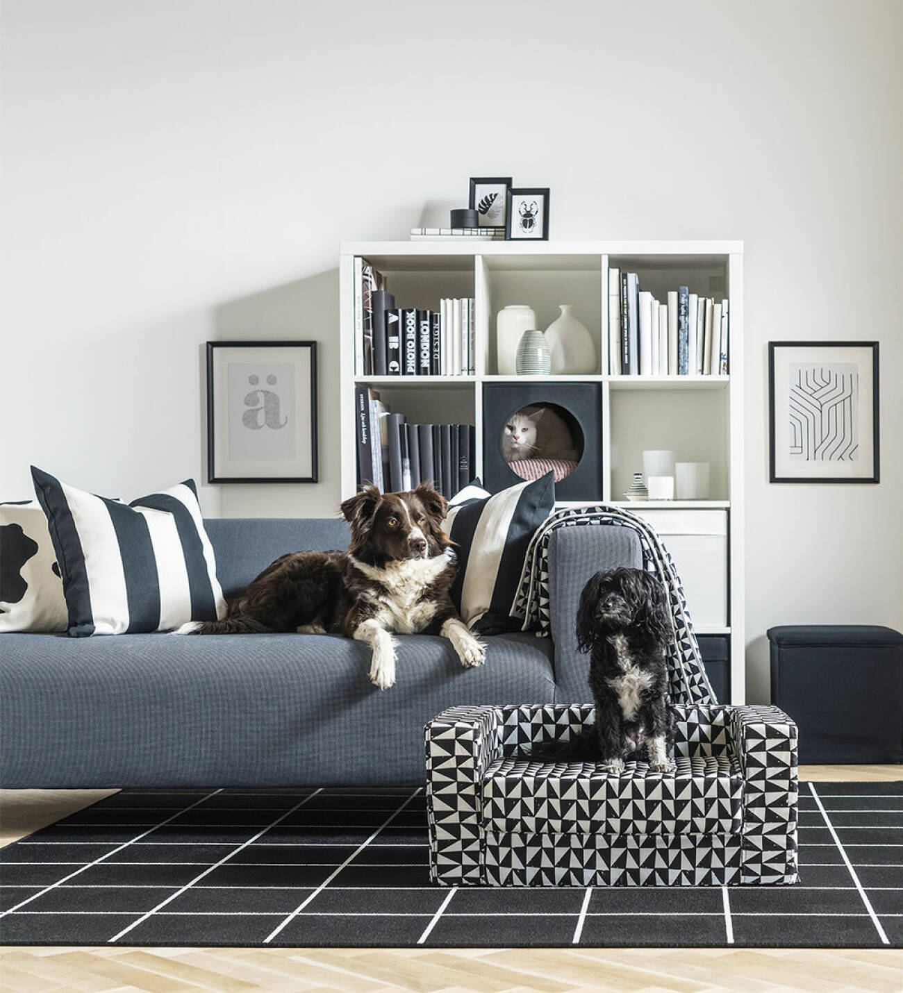 Mini soffa för hunden från Ikea
