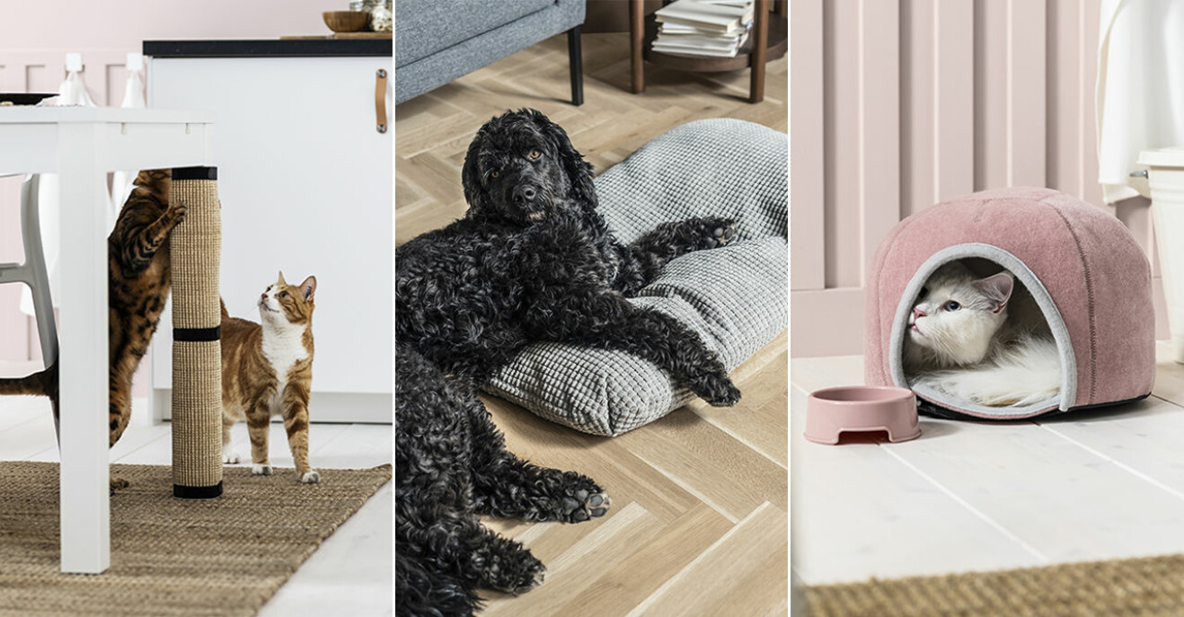 Ikeas husdjurskollektion Lurvig för katter och hundar