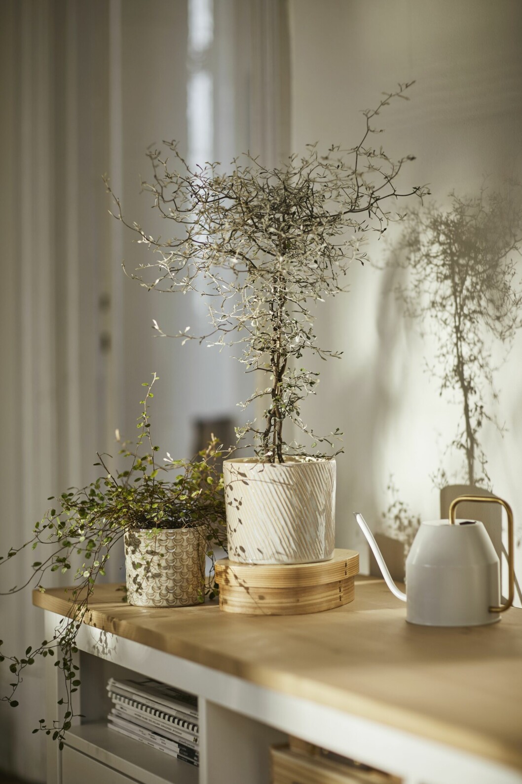 krukan chiafrön från ikea