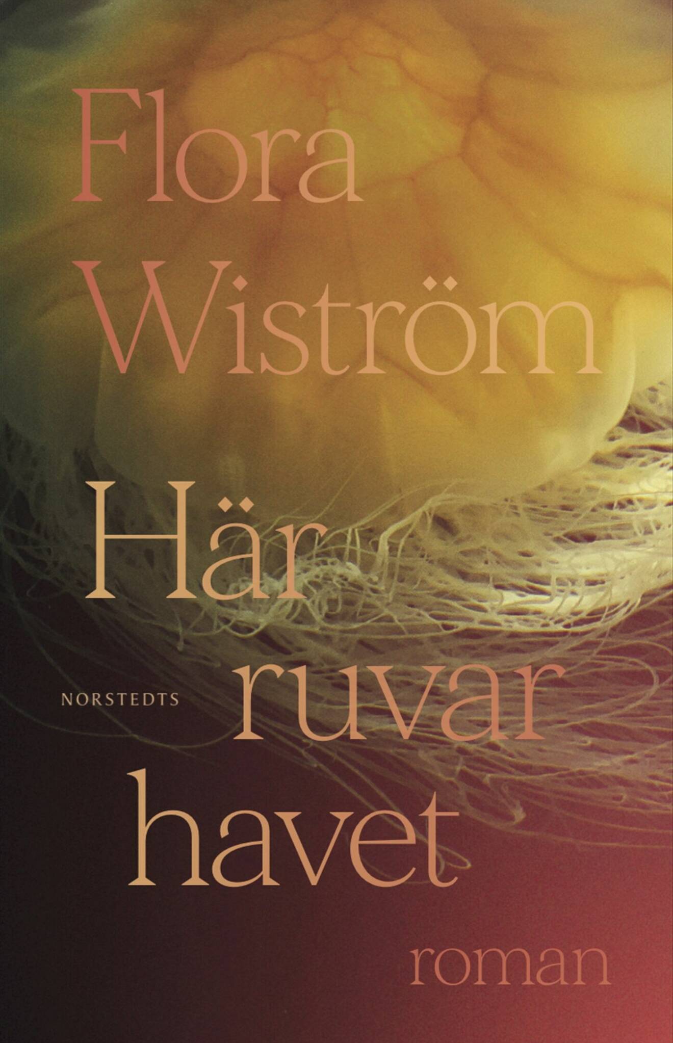 Flora Wiströms nya bok heter Här ruvar havet
