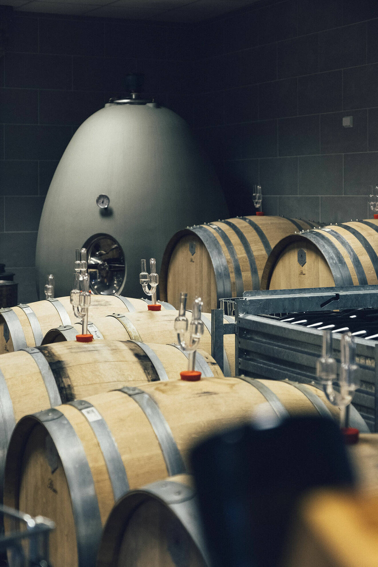 På Ästad vingård jäser man vinet på både ståltank, ekfat och i betongägg.