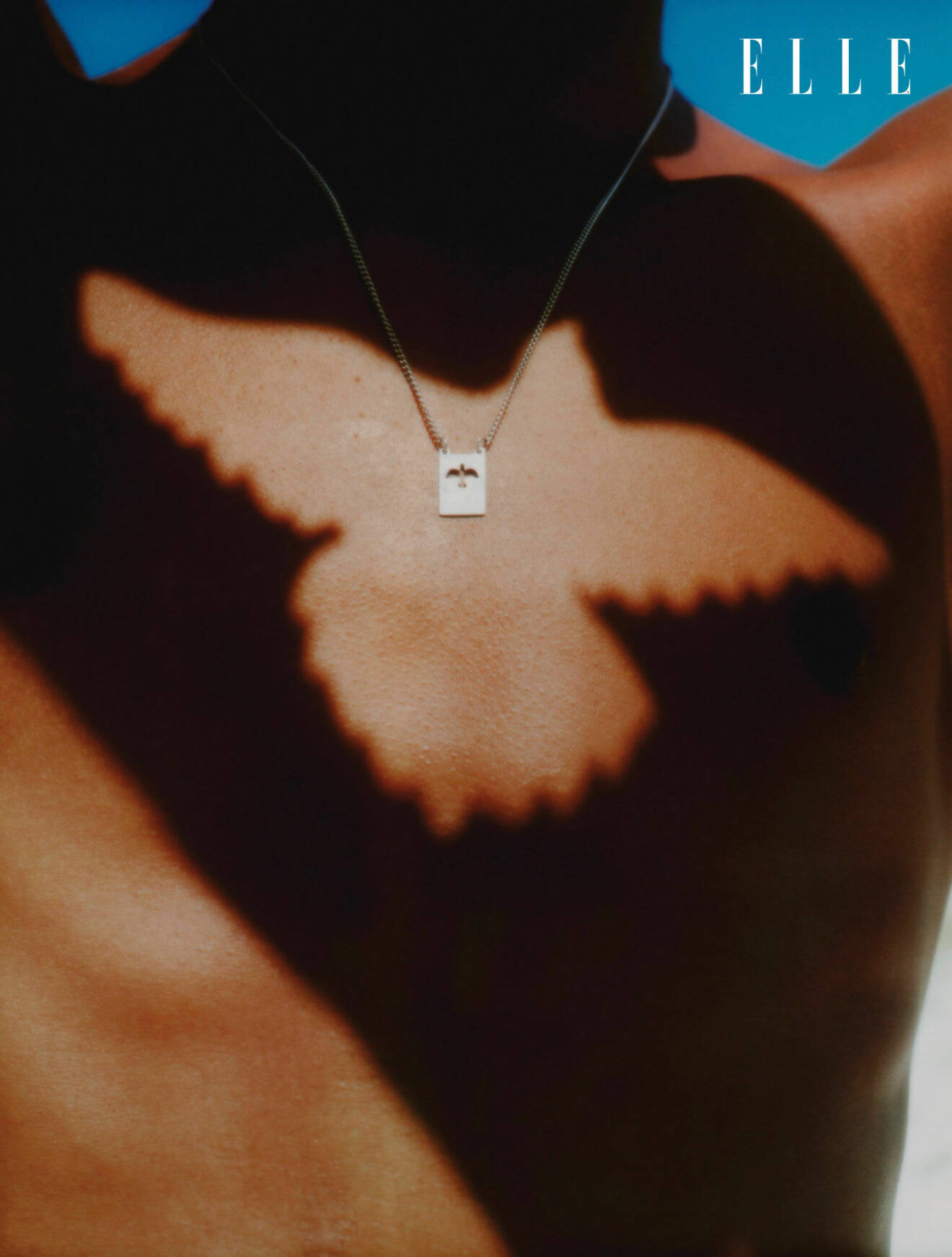Bild på en mans bröst med sugga av en fågel samt ett halsband i silver