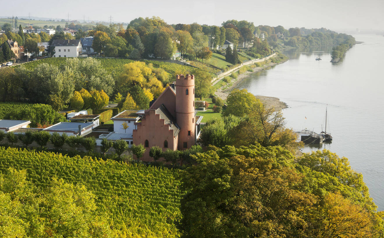 Vackra vyer i Rheingau, Tyskland.