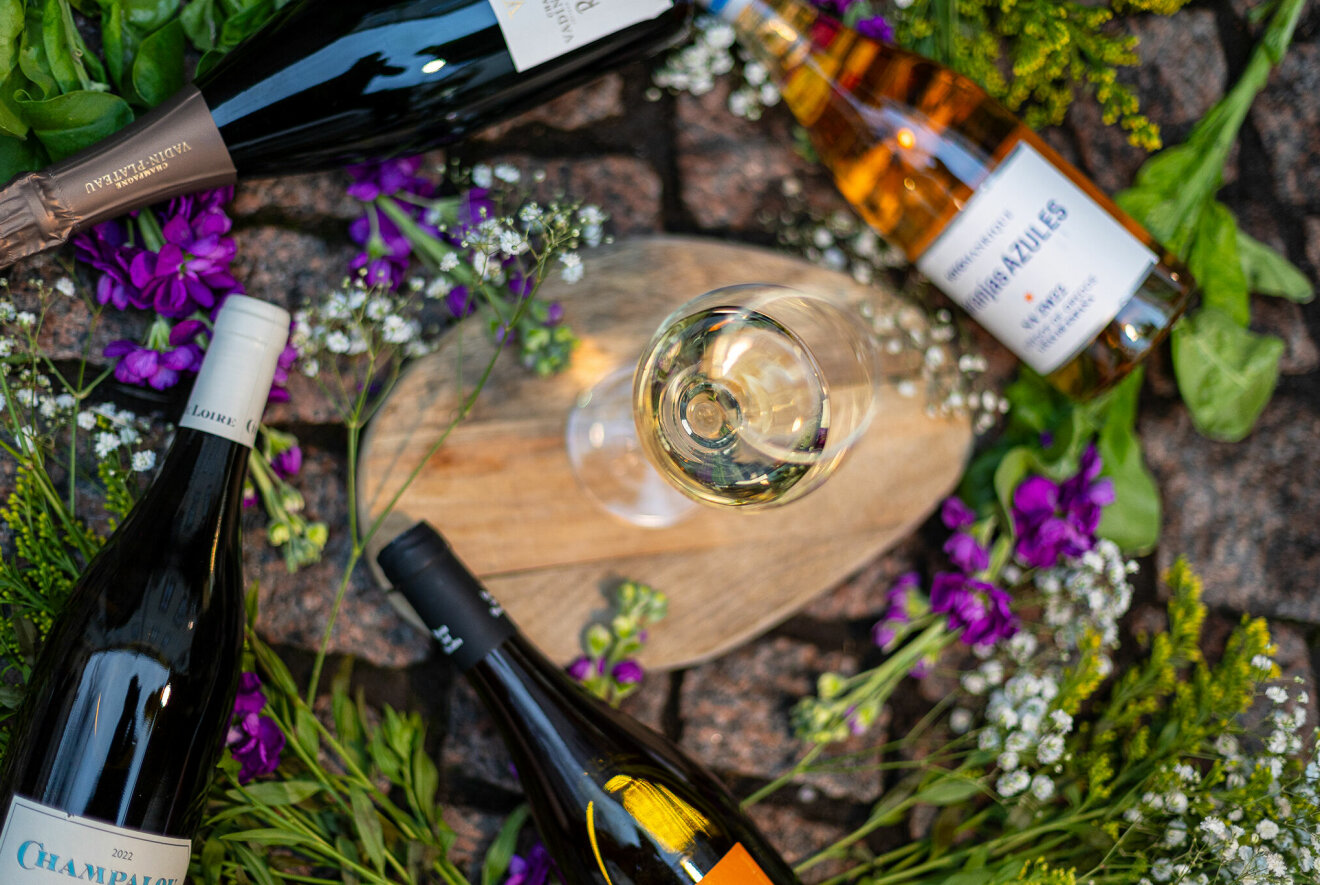 NOFO Wine Bar bjuder in till vinfestival i sommar