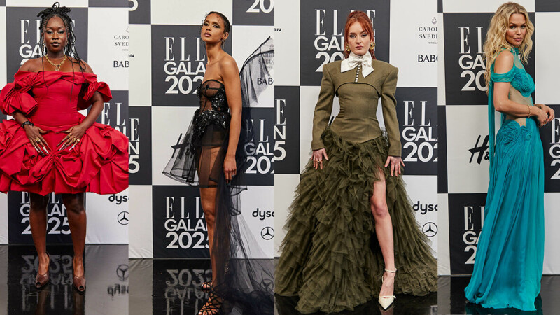 Yolbars bilan porno multfilm