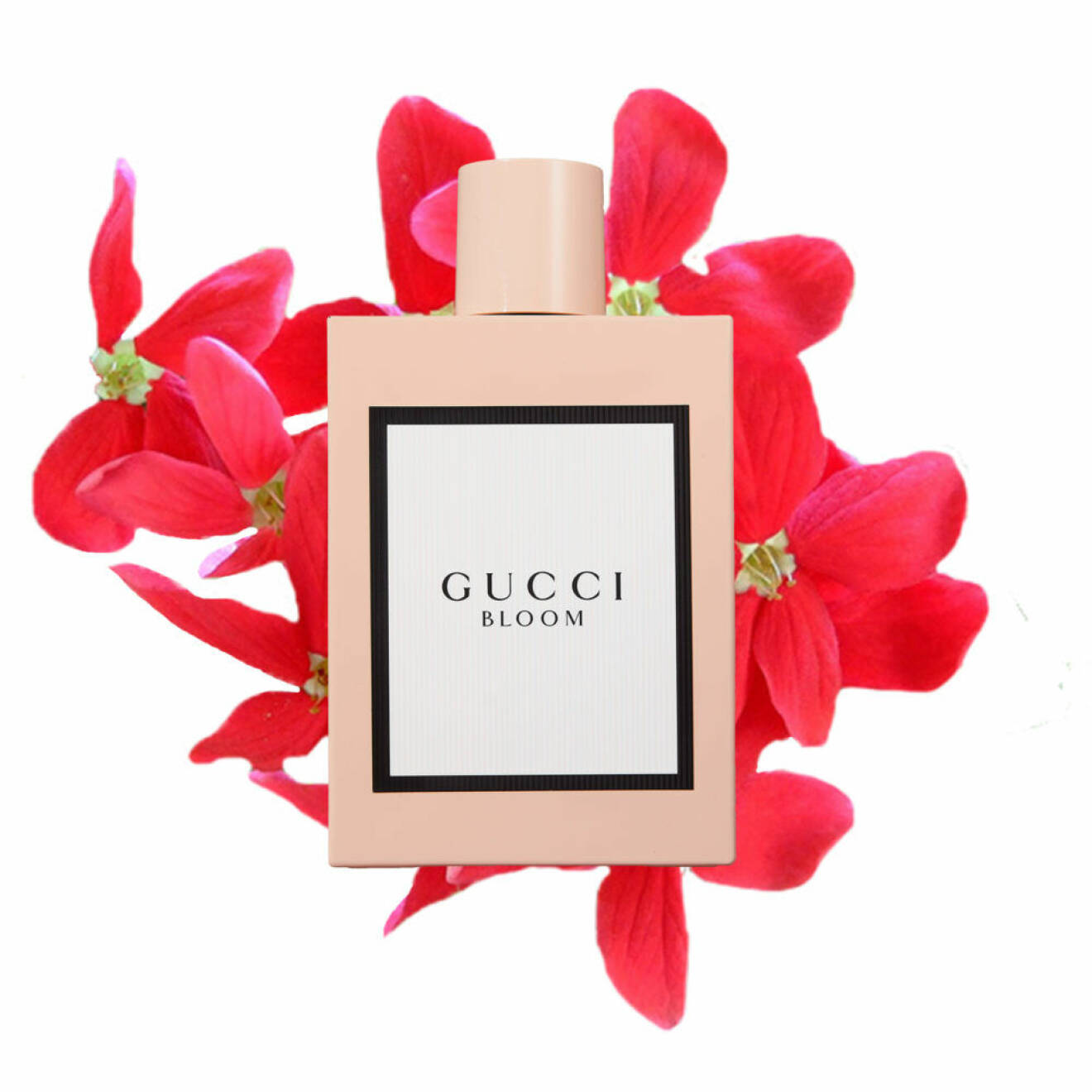Bloom från Gucci.
