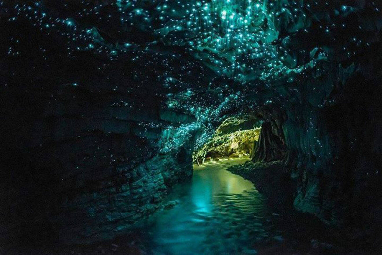 waitomo-caves