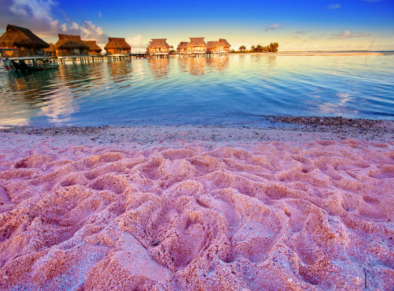 pink-sands