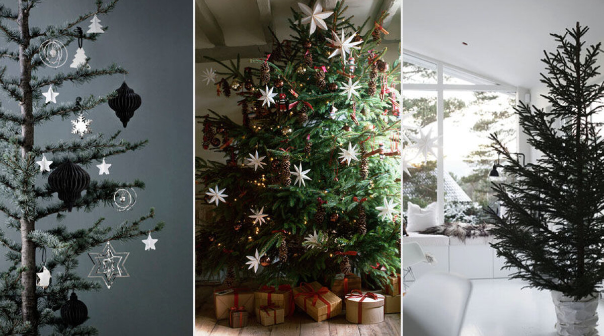 Fint julgranspynt | ELLE