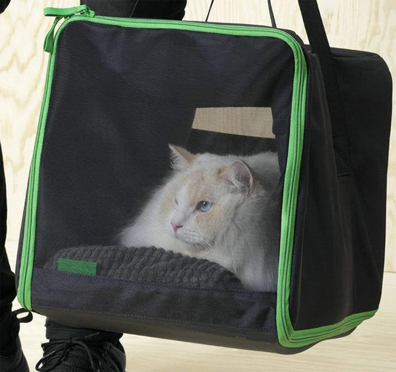 Katt i en kattväska.