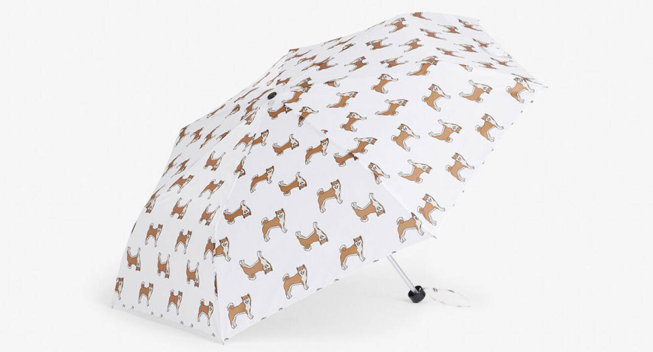 Paraply med hundmönster.