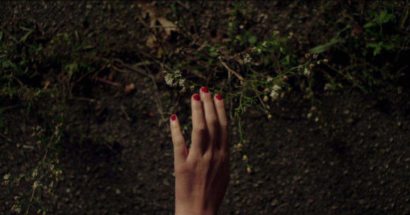 Hand med röda naglar som tar på en kvist.