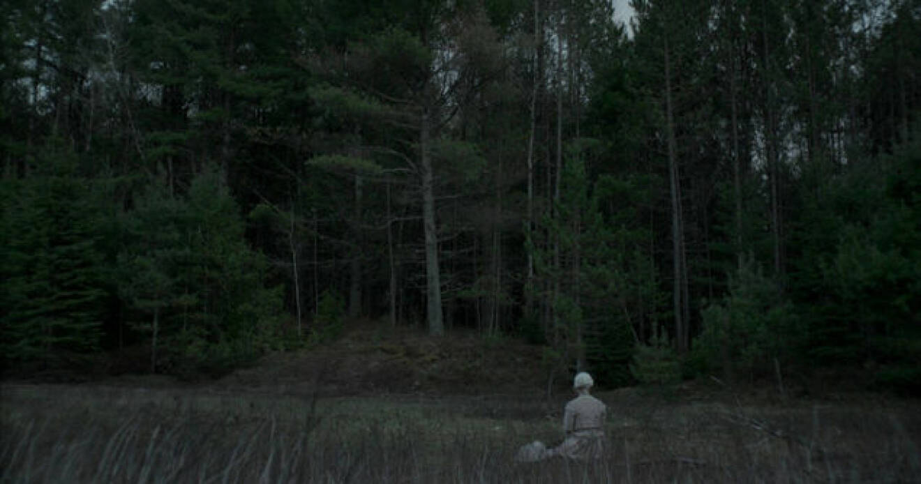 Skräckscen i en skog från filmen "The Witch" 