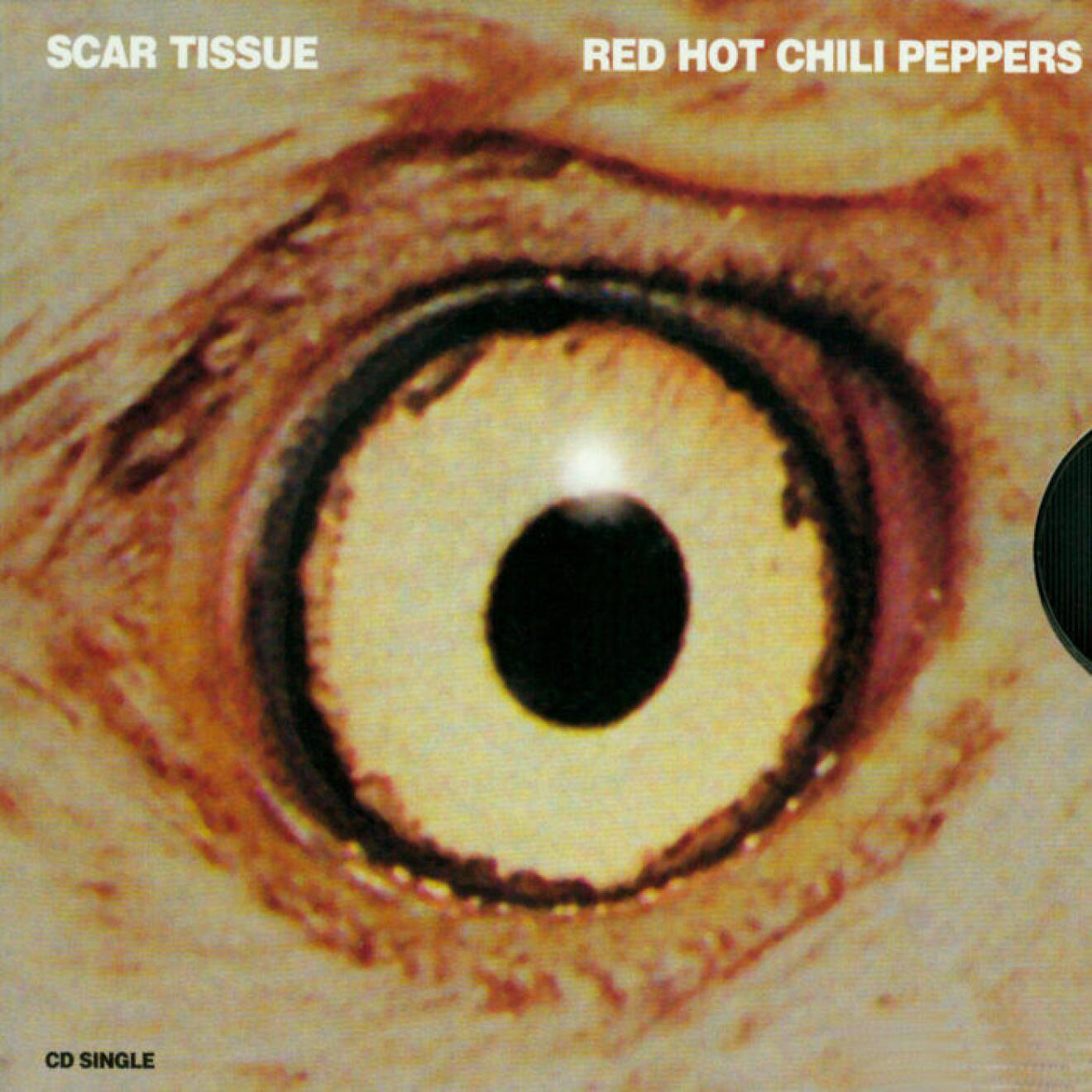 Scar Tissue med Red Hot Chili Peppers, singeln.