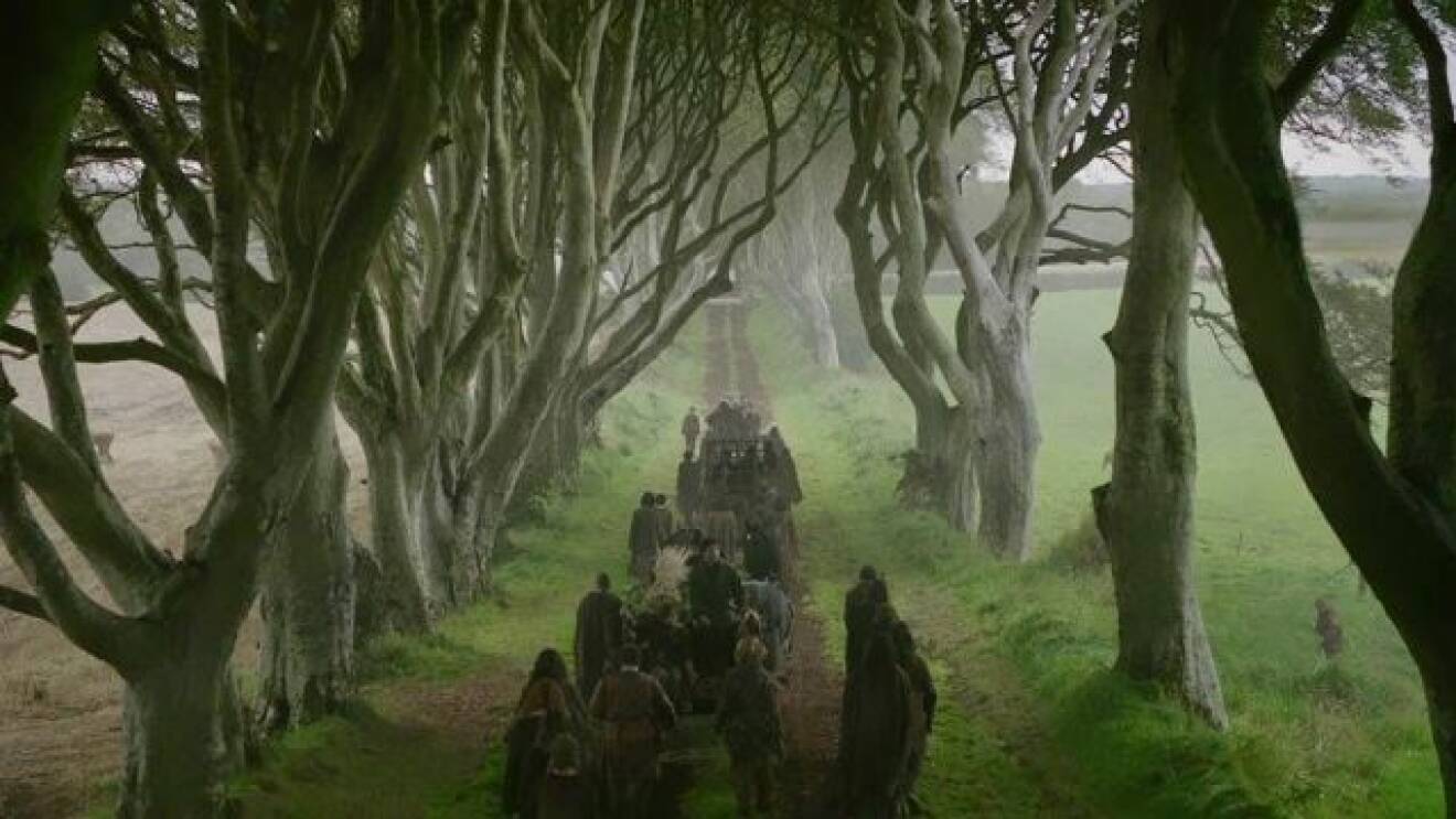 En bild på den långa vägen The Kingsroad, från tv-serien Game of Thrones.