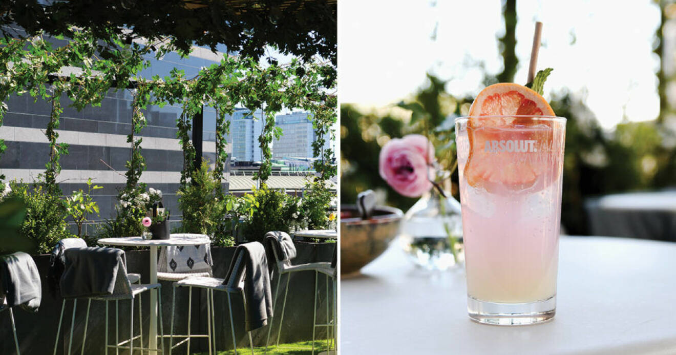 Rooftop garden bar öppnar i Stockholm