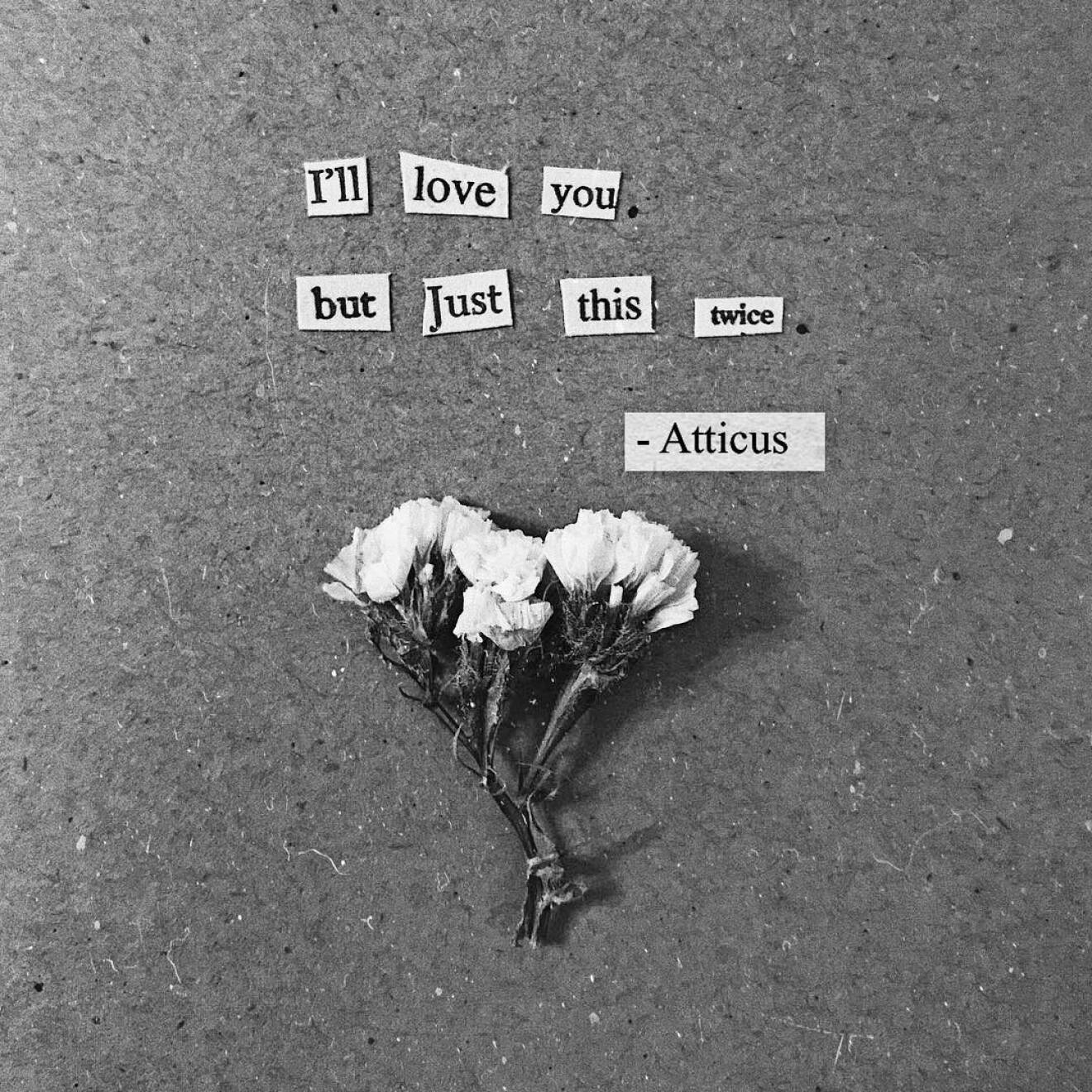 Instagram-poeten Atticus