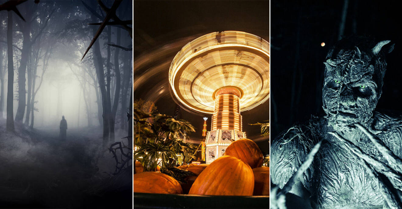 Årets Halloweennyhet på Liseberg 2019 är skräckhuset Skogen