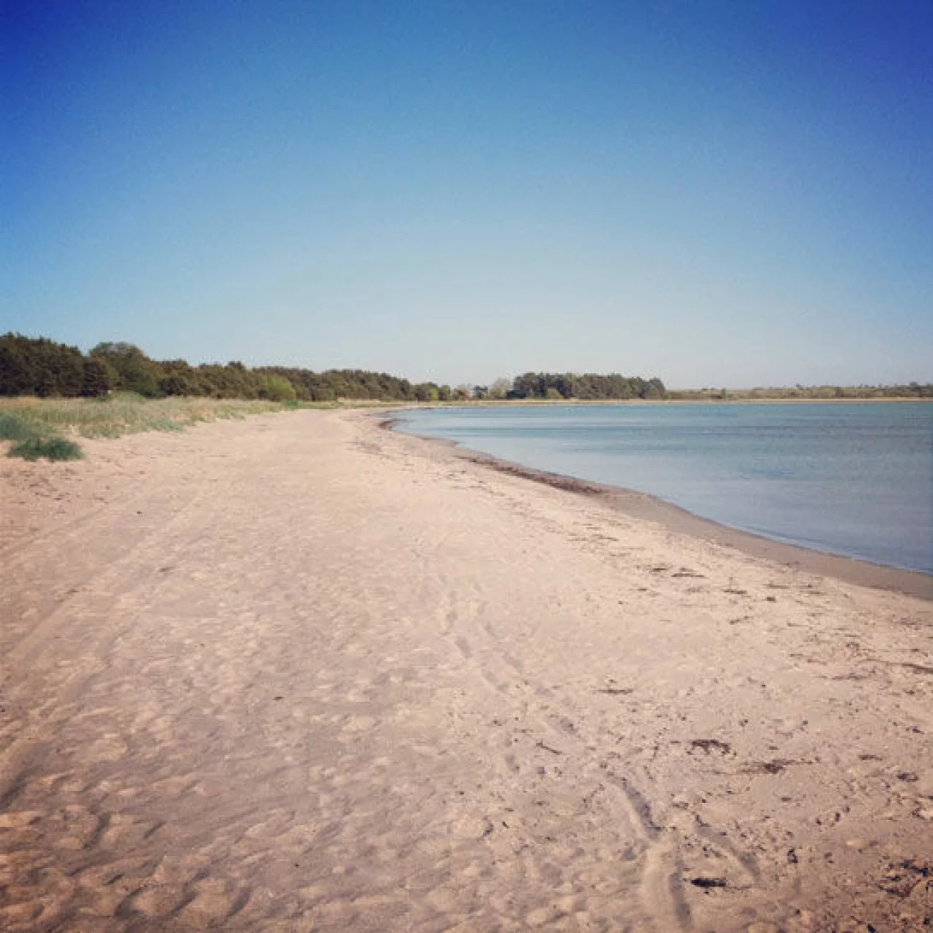 Stranden Sandviken på Gotland.