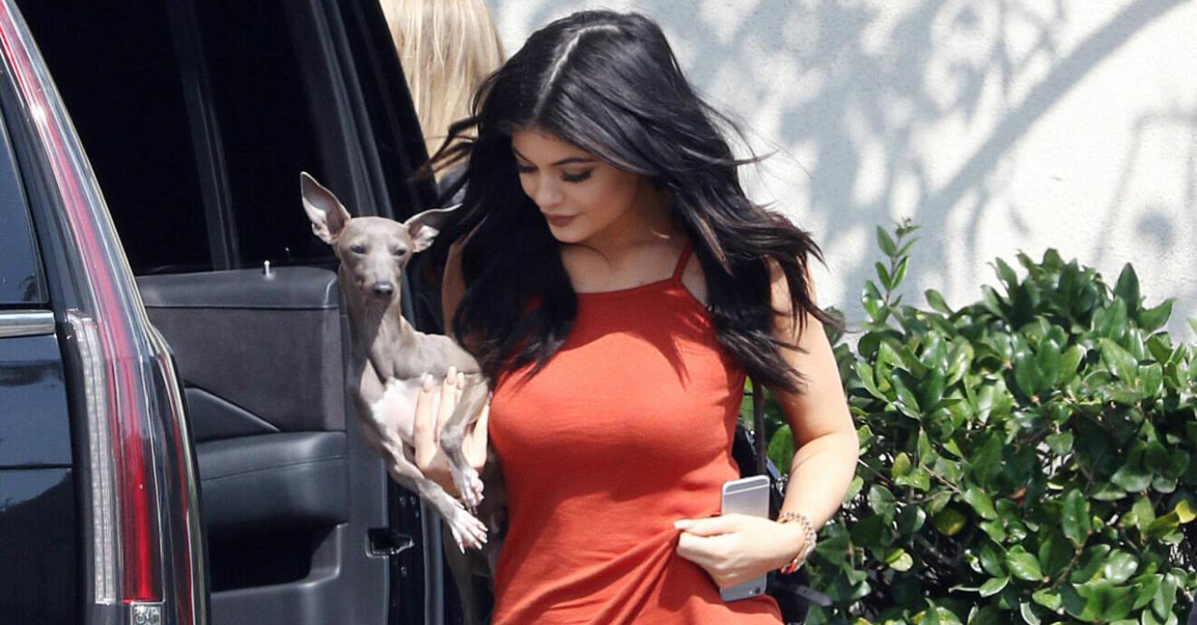 Kylie Jenner med sin hund