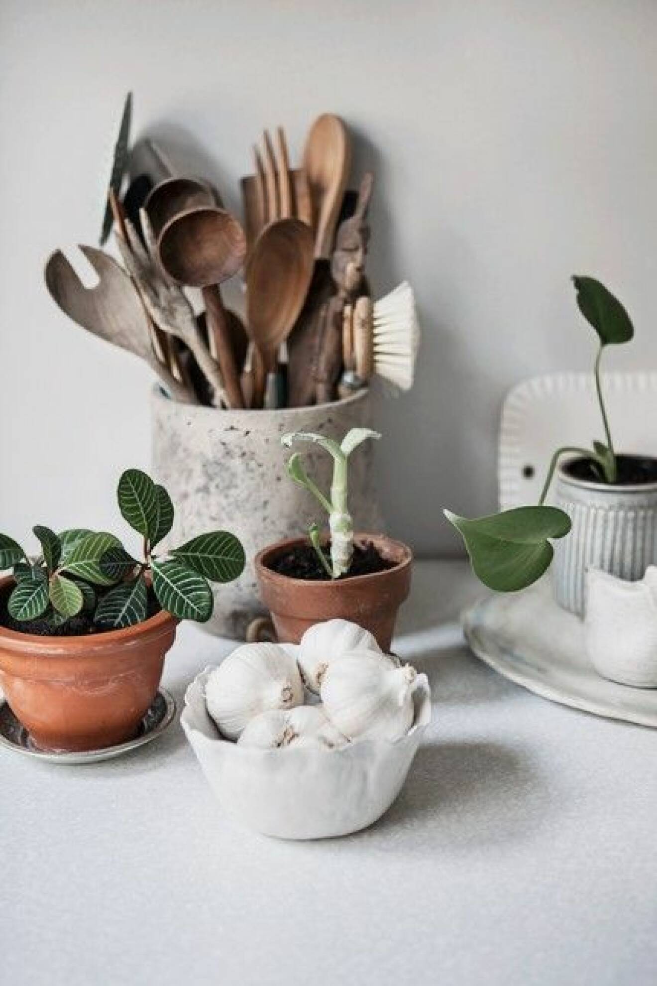 inred med växter i köket foto Anna Malmberg