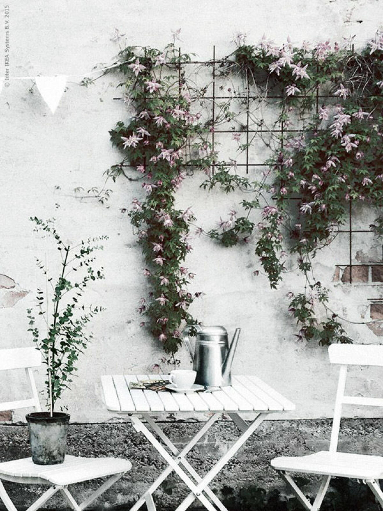 Klätterväxter ringlar på väggen bakom en cafégrupp